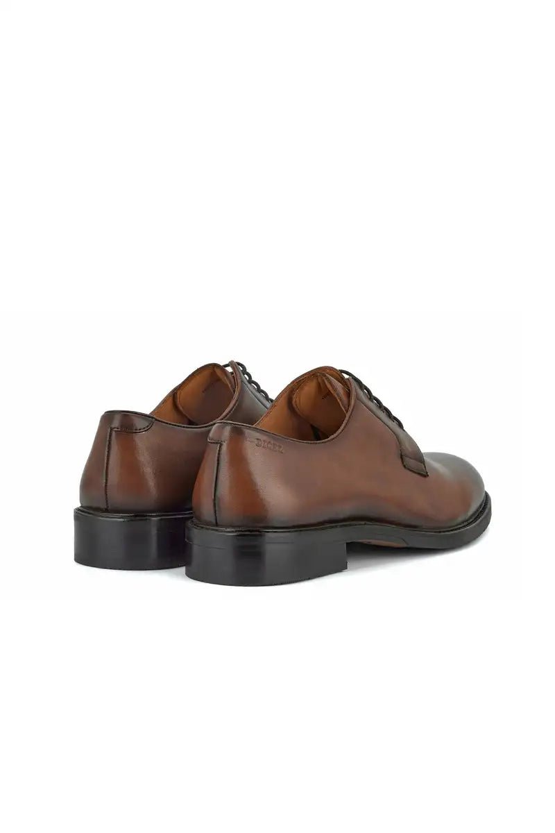 rear image brown dress shoe on white ebackground