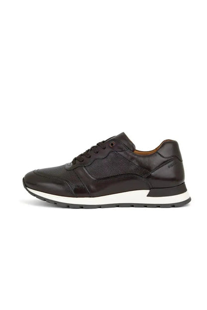 side view dark brown leather trainer shoe on white background